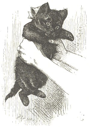Black Kitten.  From “Through the Looking-Glass,”
1871.  Drawn by John Tenniel; engraved by Dalziel Brothers