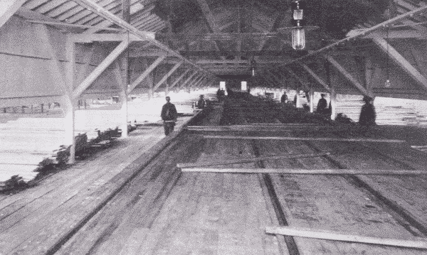 Fig. 46. Lumber Sorting Shed. Virginia, Minnesota.