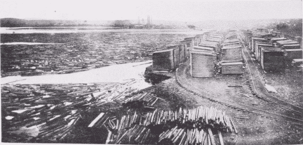 Fig. 47. Wood is carefully and regularly piled in the seasoning-yard.