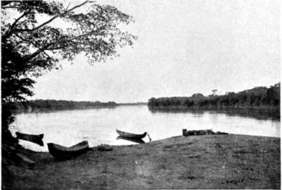The Araguaya River (looking North).