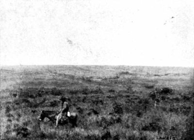 On the Plateau of Matto Grosso.