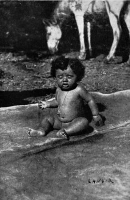 Brazilian Child, a Mixture of Portuguese and Negro.