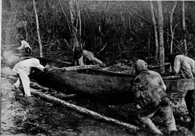 Photograph showing the Road cut by Author across the Forest in order to take the Heavy Canoe Overland.