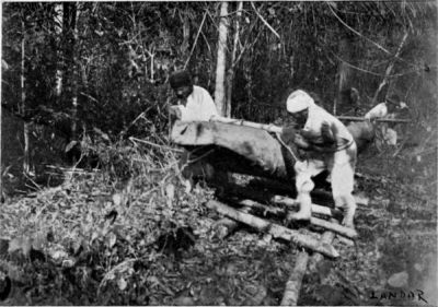 Conveying the Canoe across the Forest on an Improvised Railway and Rollers.