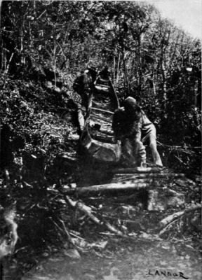 Author's Canoe being made to travel across the Forest.