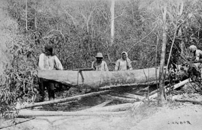 Conveying the Canoe through the Forest.