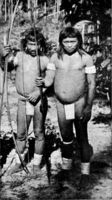 Caripuna Indians.