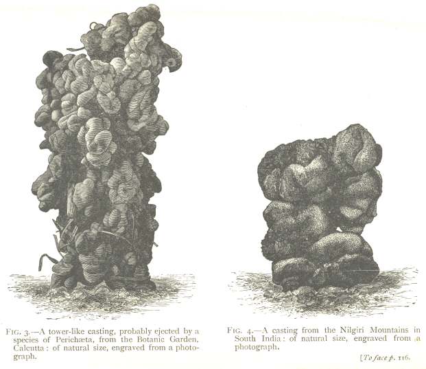 Fig. 3: A tower-like casting.  Fig. 4: A casting from the
Nilgiri Mountains