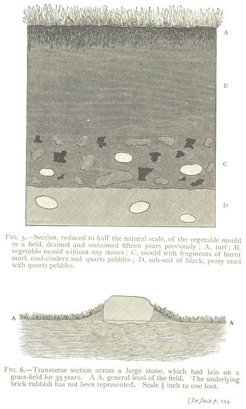 Fig. 5: Section of the vegetable mould in a field.  Fig. 6:
Traverse section across a large stone