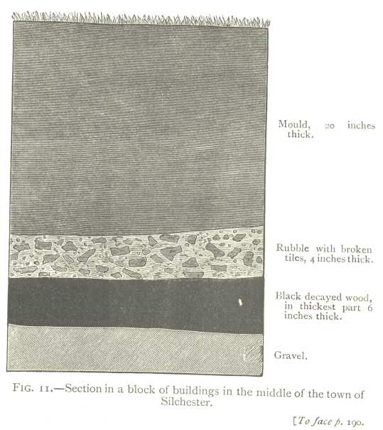 Fig. 11: Section in a block of buildings in the middle of the
town of Silchester