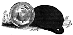 A small circular object.