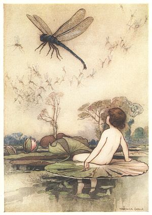 "The thing whirred up into the air, and hung poised on its wings, ... a dragon fly, ... the king of all the flies."—P. 74. (Frontispiece)