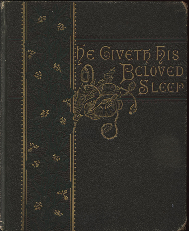 Brown cloth cover with gold blind-stamped title.