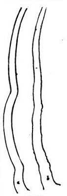 Fig. 40.