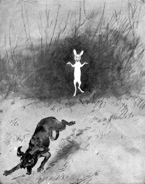XXXII. The Ghost Rabbit

Sketch by E. T. Seton