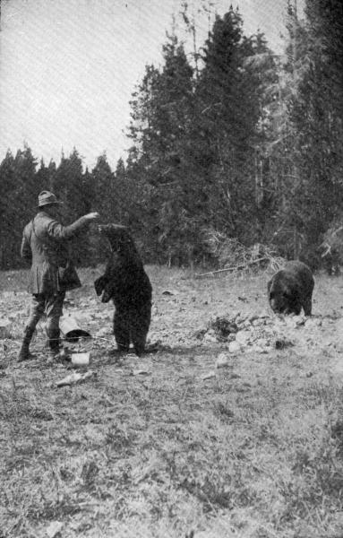XLIV. Clifford B. Harmon feeding a Bear

Photo by E. T. Seton