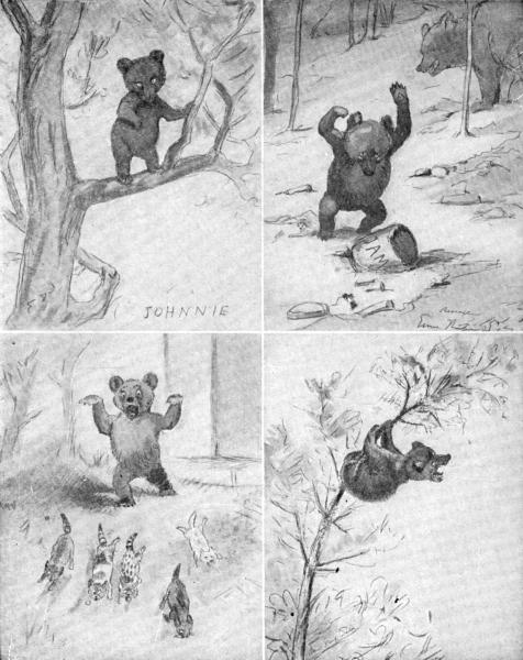 XLVII. Johnnie Bear: his sins and his troubles

Sketches by E. T. Seton
