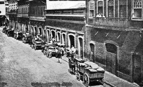 Coffee From the Fazendas Is Delivered at the Commissarios' Warehouses in Rio
