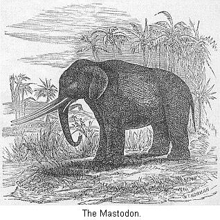 The Mastodon.