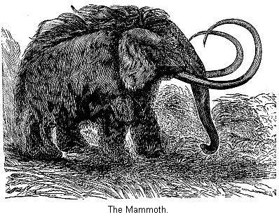 The Mammoth.