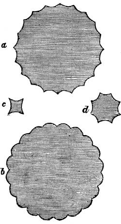 Fig. XVI.
