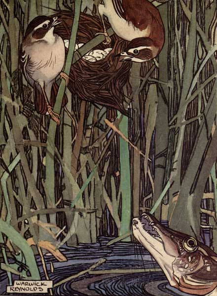 THE PIKE APPEARED AMONG THE REEDS [p. 38 