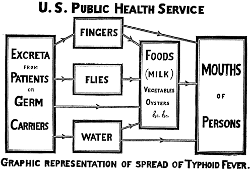 Flow chart depicting spread of typhoid fever.