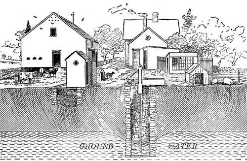 Illustration of ground water contamination via excrement from privy and barnyard.