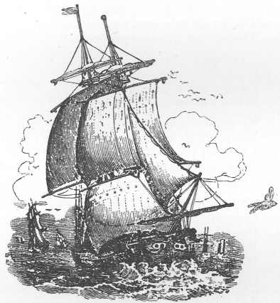 A sailing ship with flying bird