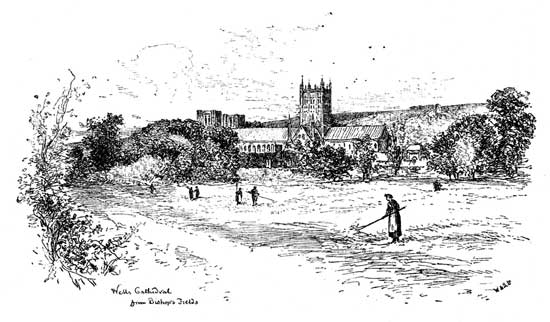 Wells Cathedral from Bishop's Fields