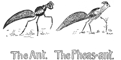The Ant. The Pheas-ant.