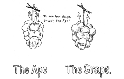 The Ape. The Grape. To see her shape, Invert the Ape!