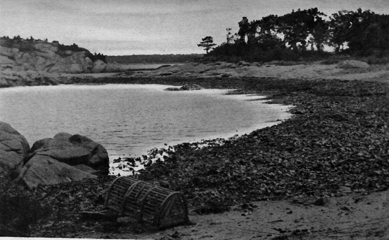 Cohasset, The little cove at Whitehead promontory