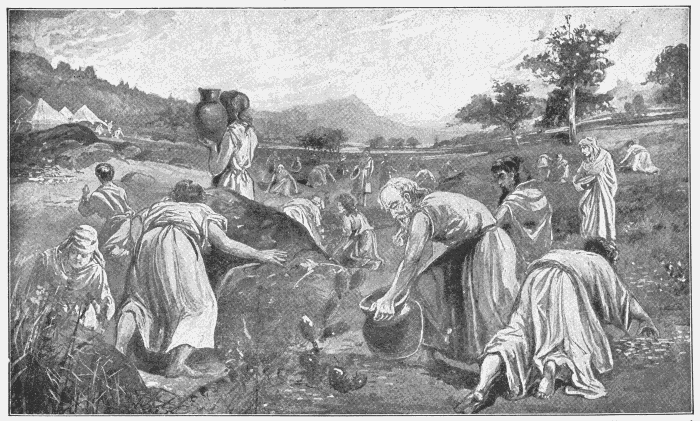Gathering The Manna. "On the sixth day they gathered twice as much bread." "But on the seventh day ... there shall be none." Ex. 16:22, 26. Illustration.