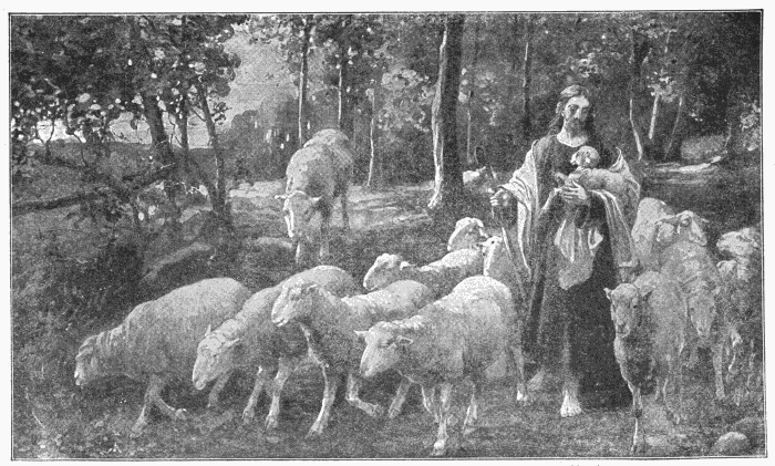 The Good Shepherd. "Feed the flock of God which is among you, taking the oversight thereof." 1 Peter 5:2. Illustration.