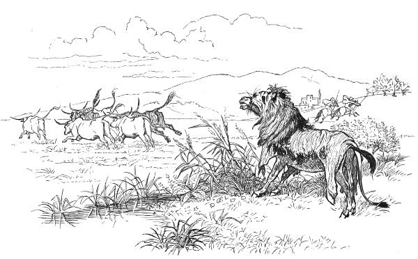 An ass in a lion's skin watches as animals and men stampede away from him.