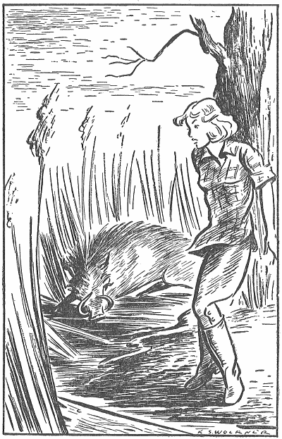 The boar had turned and was coming for her again.