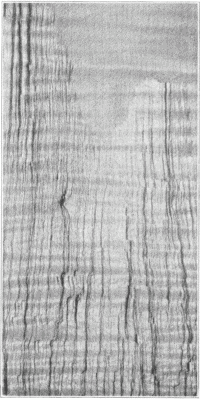 Split Surface of Wavy-Grained Maple.