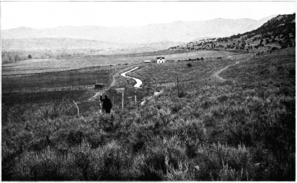 Irrigated Ranch on Treeless Alkali Plain