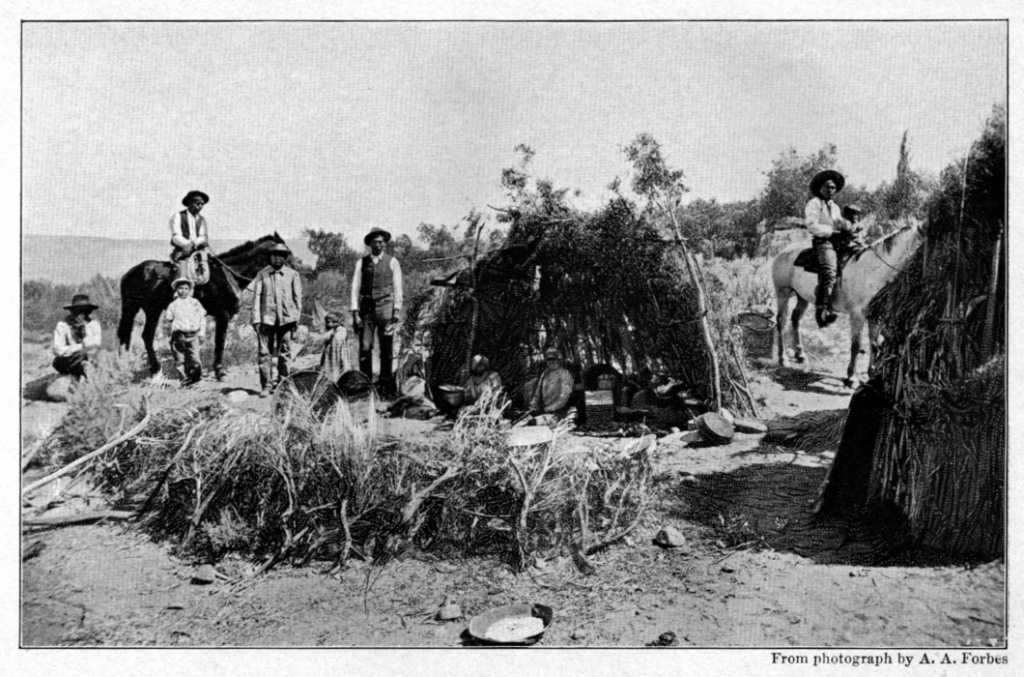 A CAMPOODIE, OR INDIAN VILLAGE