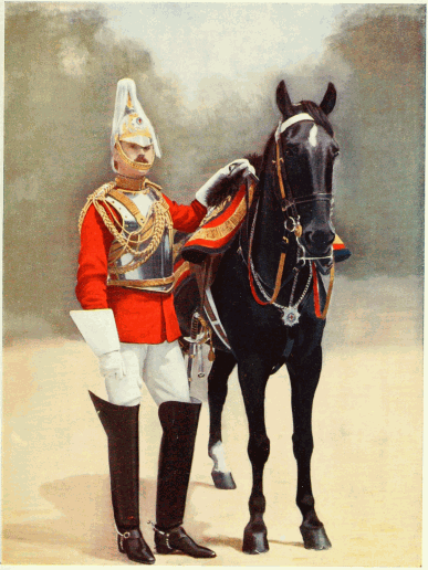 HOUSEHOLD CAVALRY—CAPTAIN, 2nd LIFE GUARDS.