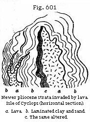 Fig. 601: Newer pliocene strata invaded by lava. Isle of Cyclops (horizontal section).