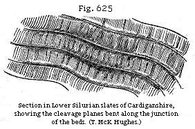 Fig. 625: Section in Lower Silurian slates of Cardiganshire, showing the
cleavage planes bent along the junction of the beds.