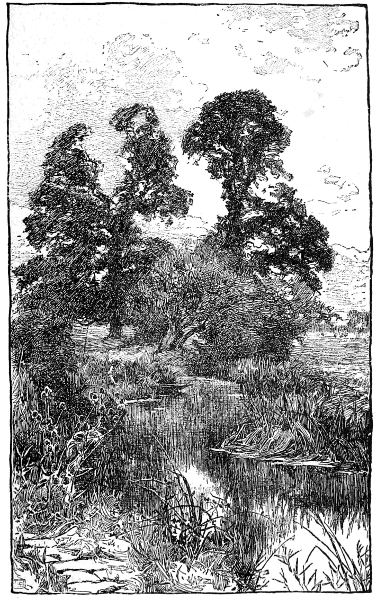 ELMS BY BIDFORD GRANGE. BY ALFRED PARSONS.
REPRODUCED FROM QUILLER COUCH'S 'THE WARWICKSHIRE
AVON.'

BY LEAVE OF OSGOOD, McILVAINE AND CO.