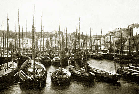 Pilchard Boats, Mevagissey
