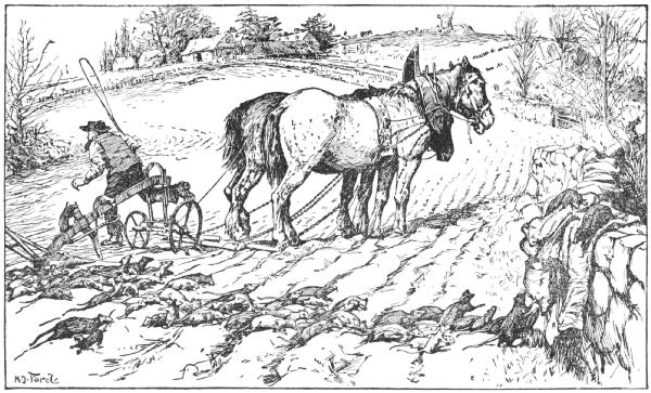 The ploughman runs away from the horde of rats