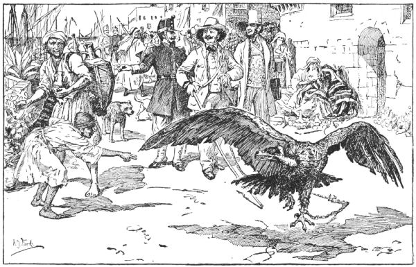 Dumas walks along the dockside with the vulture on a leash