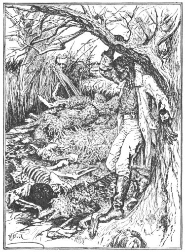 The man finds the remains of his friend and three dead wolves