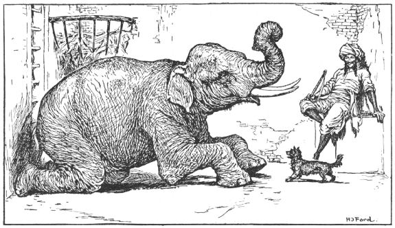 The elephant kneels after the dog bites its trunk