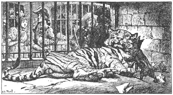 The tiger stretches out in his cage with his friend the dog